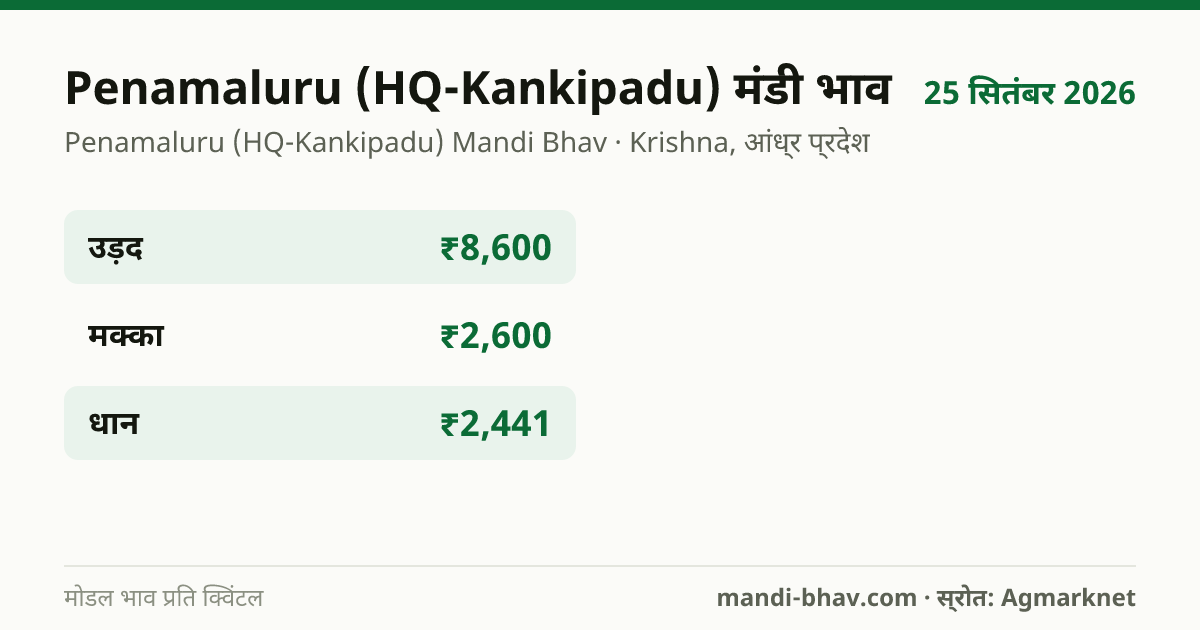 Penamaluru (HQ-Kankipadu) मंडी भाव 25 सितंबर 2026: फसलवार मोडल रेट प्रति क्विंटल