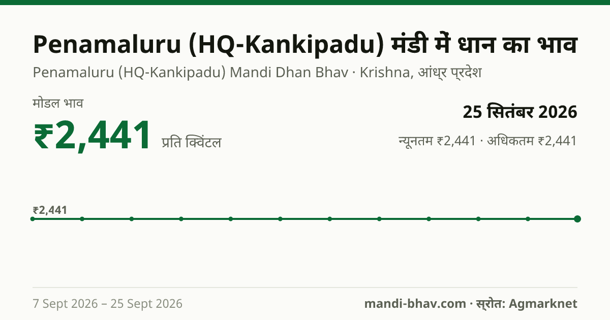 Penamaluru (HQ-Kankipadu) मंडी में धान का भाव 25 सितंबर 2026: मोडल ₹2,441 प्रति क्विंटल, भाव के रुझान का चार्ट
