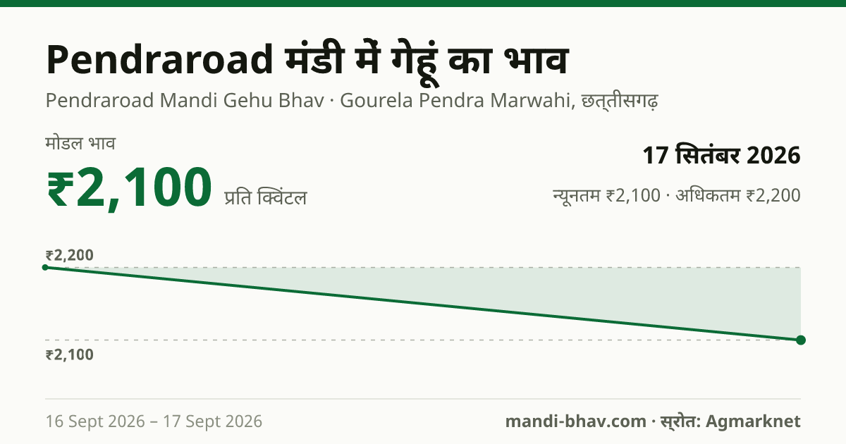 Pendraroad मंडी में गेहूं का भाव 17 सितंबर 2026: मोडल ₹2,100 प्रति क्विंटल, भाव के रुझान का चार्ट