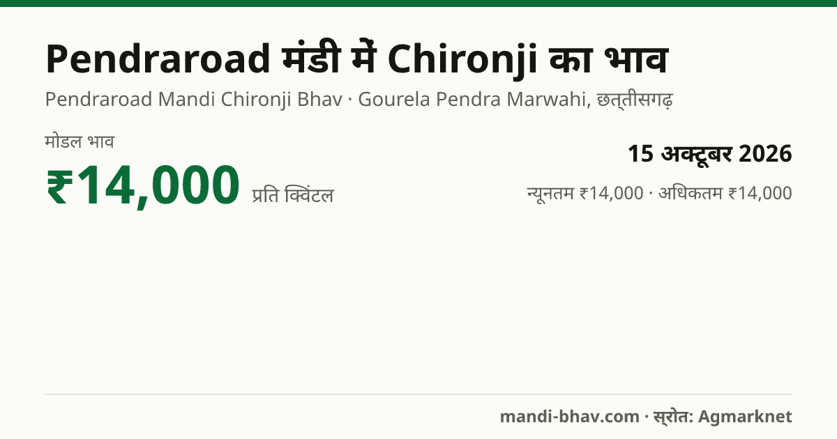 Pendraroad मंडी में Chironji का भाव 15 अक्टूबर 2026: मोडल ₹14,000 प्रति क्विंटल, भाव के रुझान का चार्ट