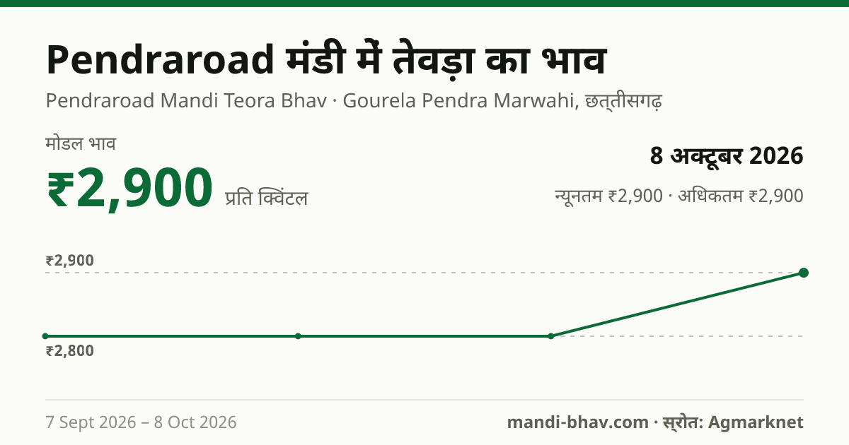 Pendraroad मंडी में Lak(Teora) का भाव 8 अक्टूबर 2026: मोडल ₹2,900 प्रति क्विंटल, भाव के रुझान का चार्ट