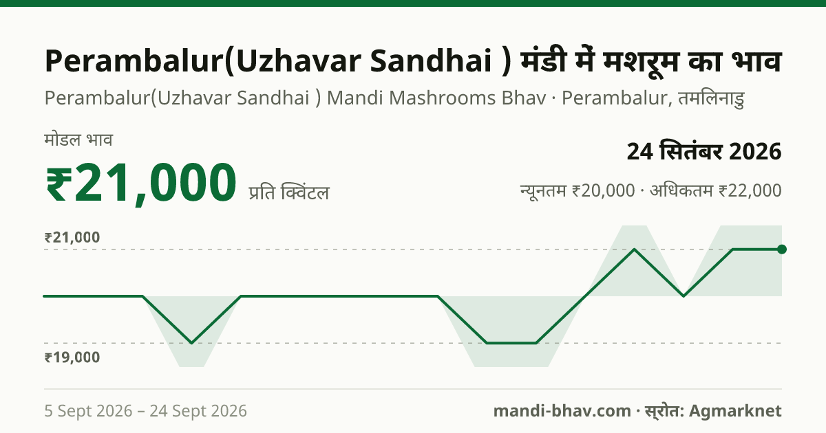 Perambalur(Uzhavar Sandhai ) मंडी में मशरूम का भाव 24 सितंबर 2026: मोडल ₹21,000 प्रति क्विंटल, भाव के रुझान का चार्ट