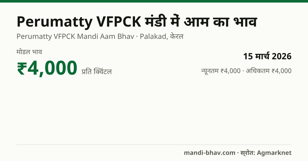 Perumatty VFPCK मंडी में आम का भाव 15 मार्च 2026: मोडल ₹4,000 प्रति क्विंटल, भाव के रुझान का चार्ट