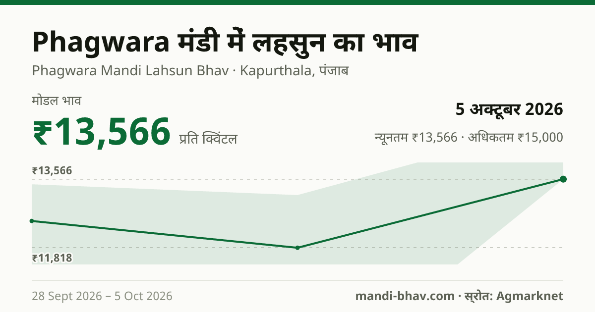 Phagwara मंडी में लहसुन का भाव 5 अक्टूबर 2026: मोडल ₹13,566 प्रति क्विंटल, भाव के रुझान का चार्ट