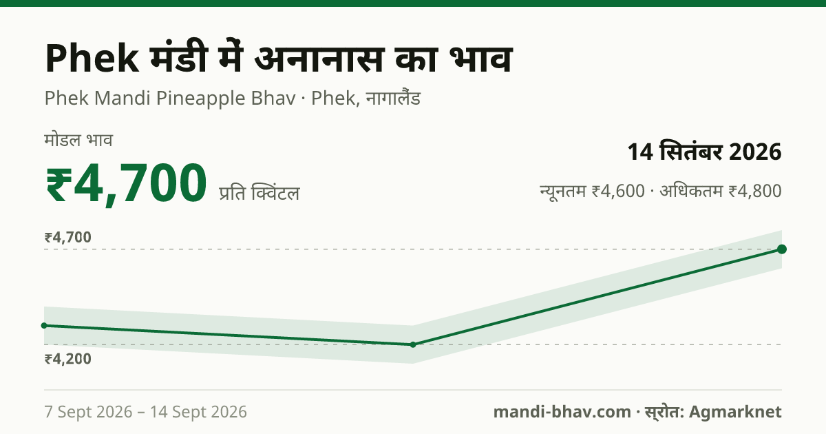 Phek मंडी में अनानास का भाव 14 सितंबर 2026: मोडल ₹4,700 प्रति क्विंटल, भाव के रुझान का चार्ट