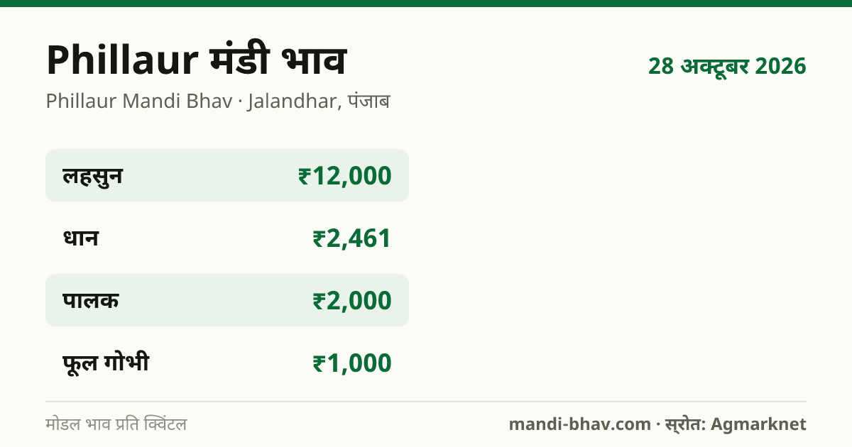 Phillaur मंडी भाव 28 अक्टूबर 2026: फसलवार मोडल रेट प्रति क्विंटल