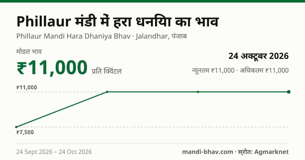 Phillaur मंडी में हरा धनिया का भाव 24 अक्टूबर 2026: मोडल ₹11,000 प्रति क्विंटल, भाव के रुझान का चार्ट