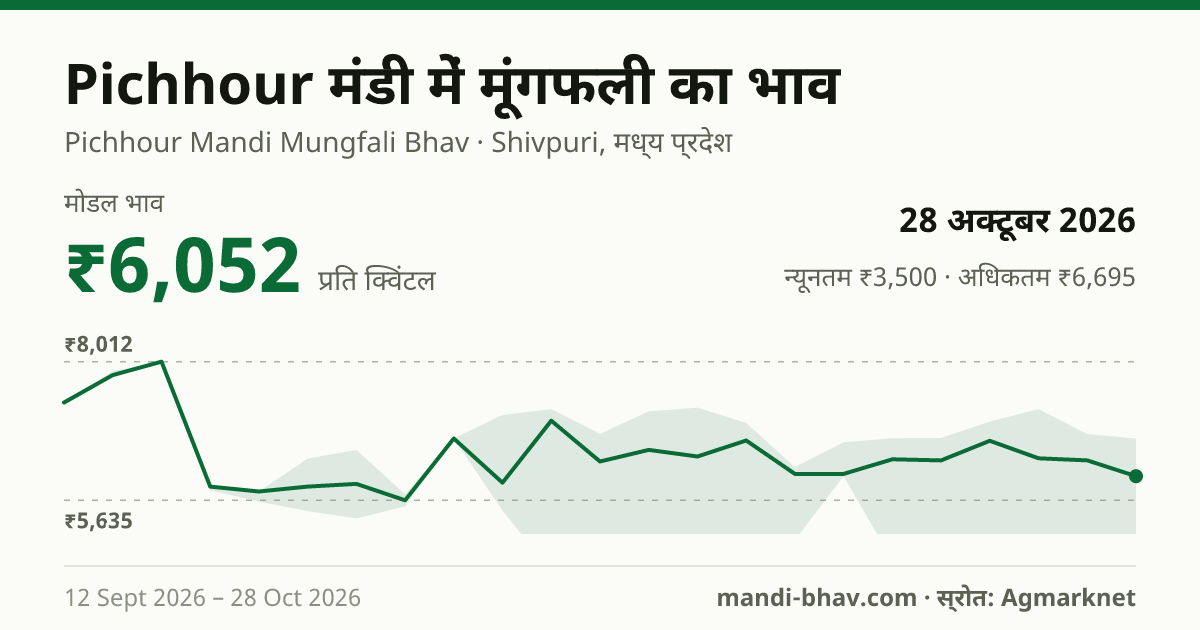 Pichhour मंडी में मूंगफली का भाव 28 अक्टूबर 2026: मोडल ₹6,052 प्रति क्विंटल, भाव के रुझान का चार्ट
