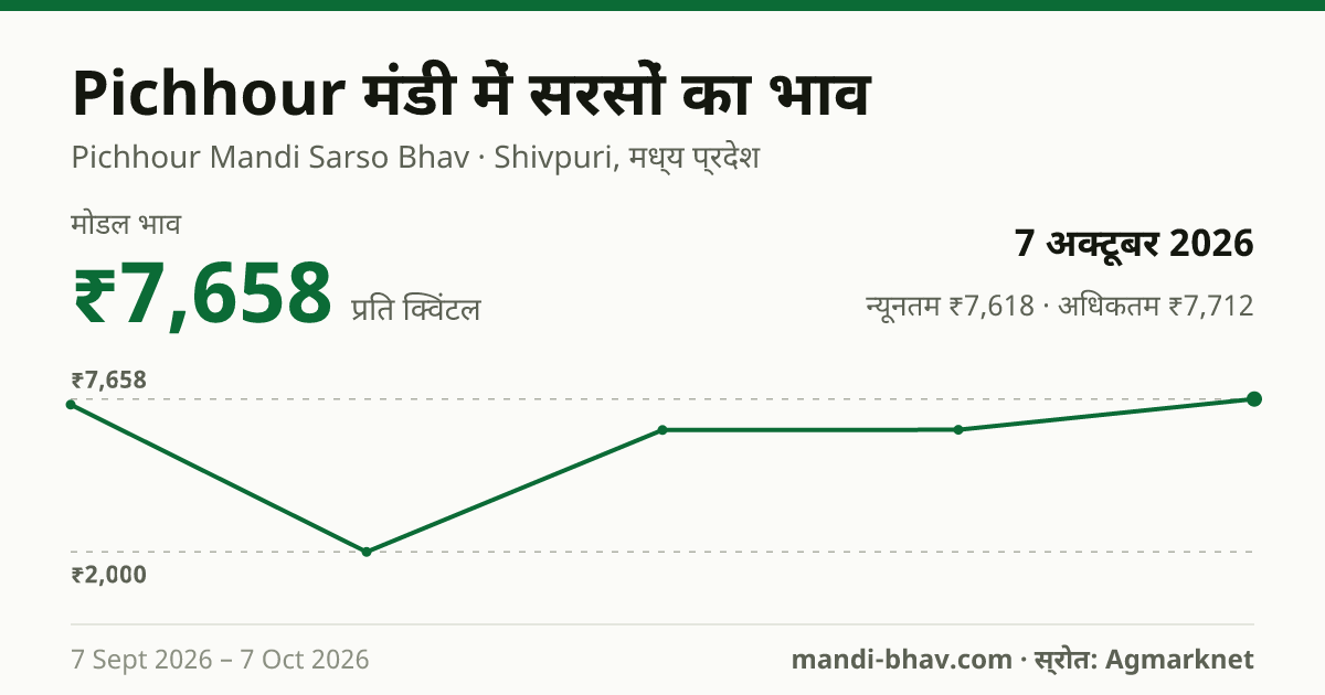 Pichhour मंडी में सरसों का भाव 7 अक्टूबर 2026: मोडल ₹7,658 प्रति क्विंटल, भाव के रुझान का चार्ट