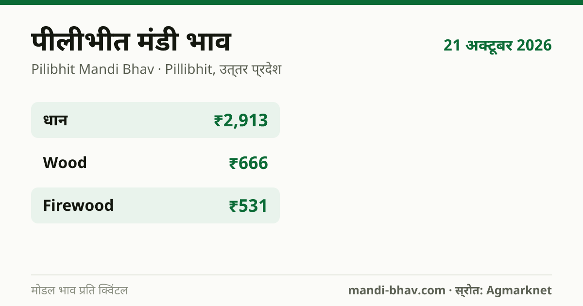 पीलीभीत मंडी भाव 21 अक्टूबर 2026: फसलवार मोडल रेट प्रति क्विंटल