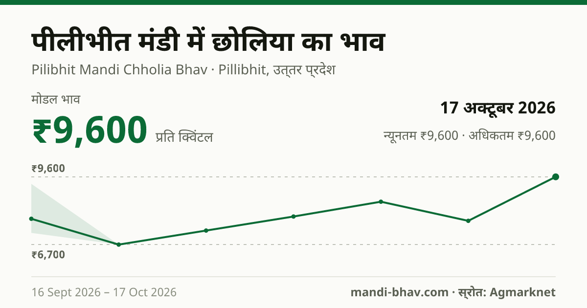 पीलीभीत मंडी में Gram Raw(Chholia) का भाव 17 अक्टूबर 2026: मोडल ₹9,600 प्रति क्विंटल, भाव के रुझान का चार्ट