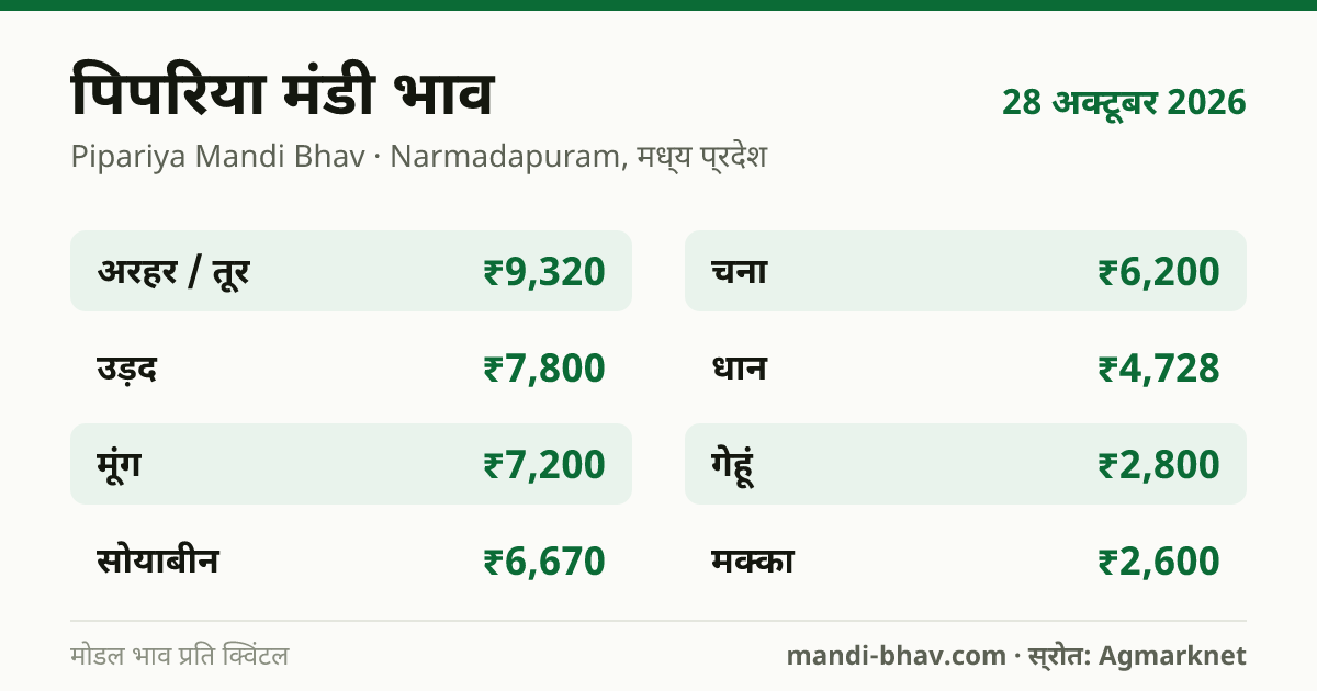 पिपरिया मंडी भाव 28 अक्टूबर 2026: फसलवार मोडल रेट प्रति क्विंटल