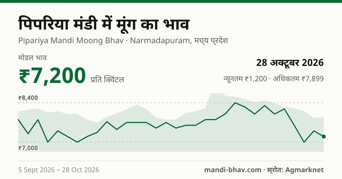 पिपरिया मंडी में मूंग का भाव 28 अक्टूबर 2026: मोडल ₹7,200 प्रति क्विंटल, भाव के रुझान का चार्ट