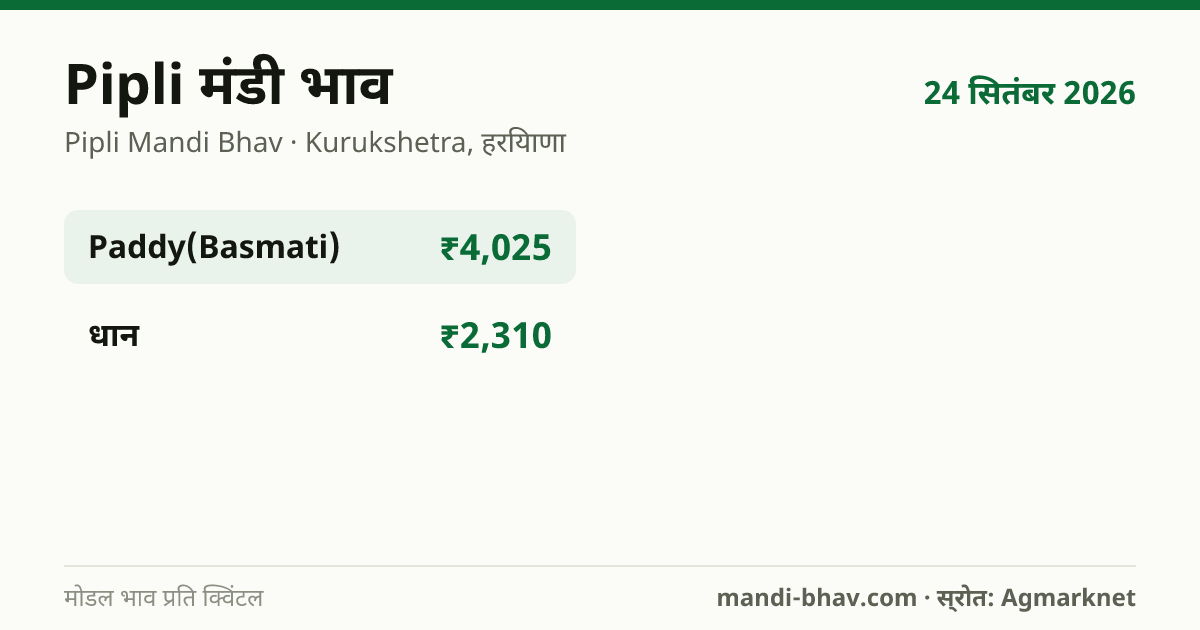 Pipli मंडी भाव 24 सितंबर 2026: फसलवार मोडल रेट प्रति क्विंटल
