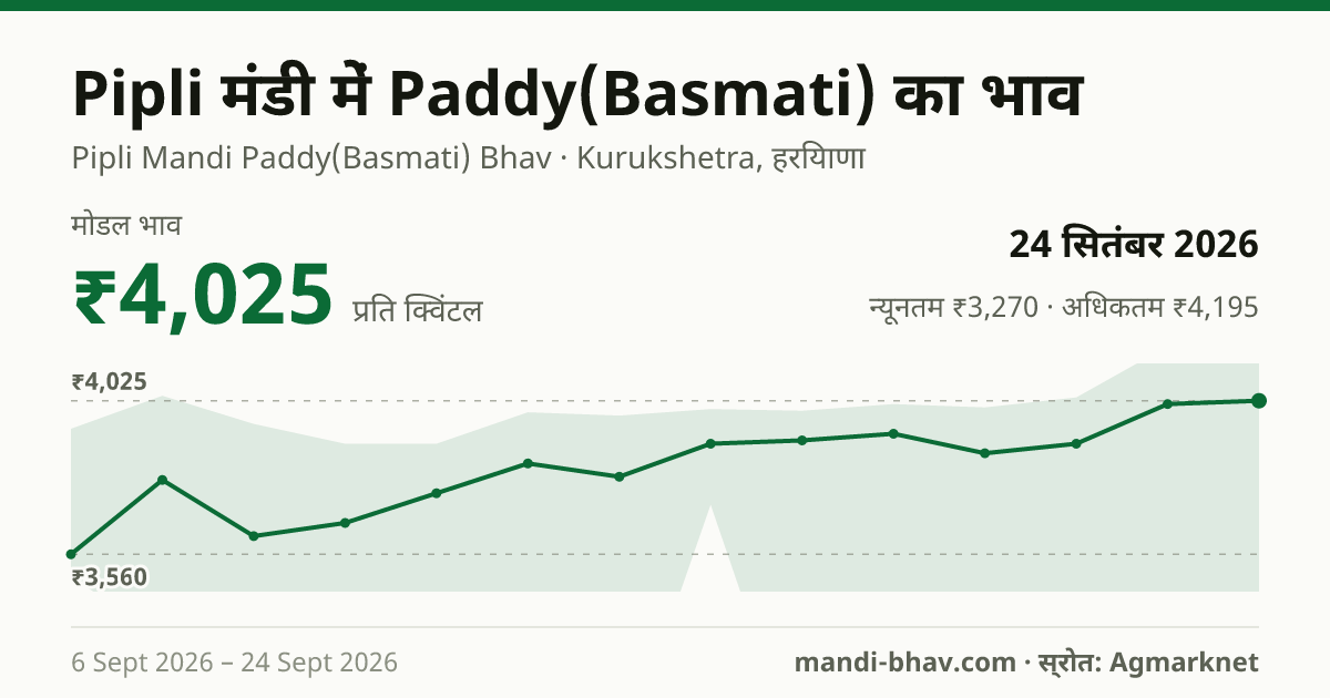 Pipli मंडी में Paddy(Basmati) का भाव 24 सितंबर 2026: मोडल ₹4,025 प्रति क्विंटल, भाव के रुझान का चार्ट