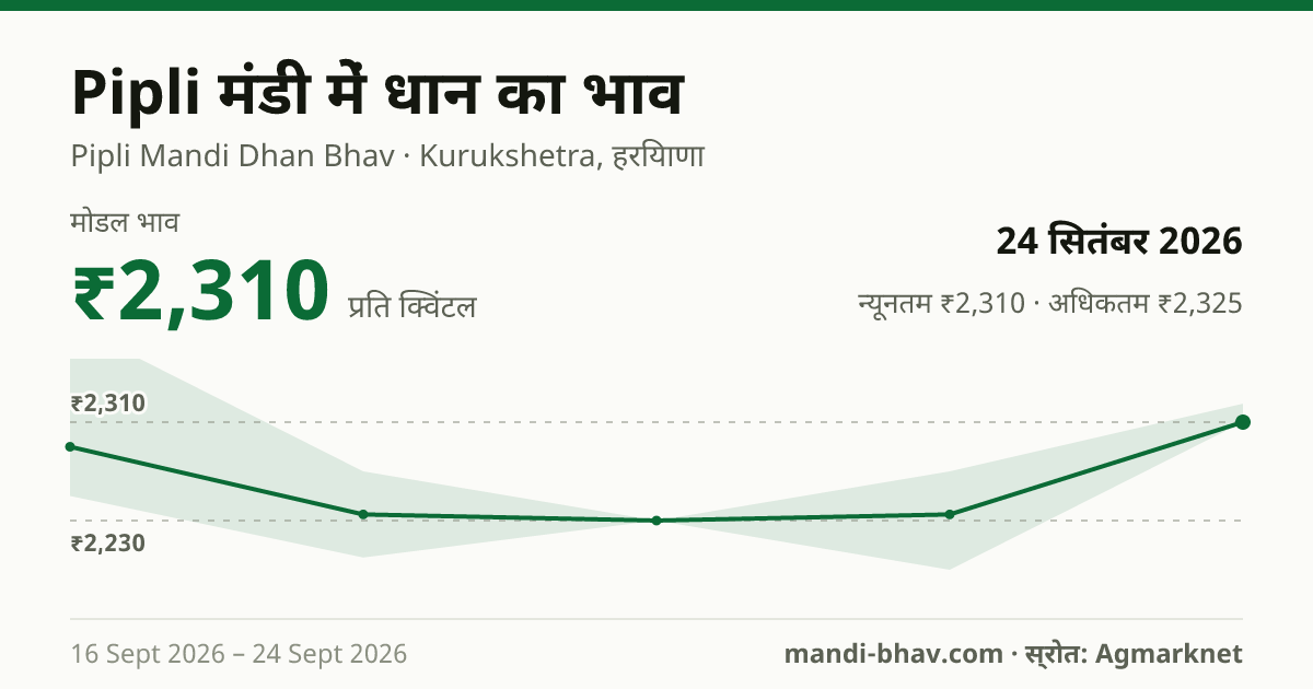 Pipli मंडी में धान का भाव 24 सितंबर 2026: मोडल ₹2,310 प्रति क्विंटल, भाव के रुझान का चार्ट