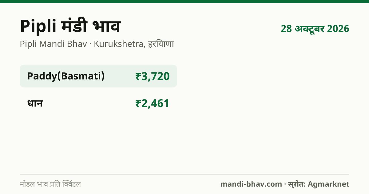 Pipli मंडी भाव 28 अक्टूबर 2026: फसलवार मोडल रेट प्रति क्विंटल