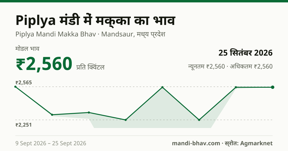 Piplya मंडी में मक्का का भाव 25 सितंबर 2026: मोडल ₹2,560 प्रति क्विंटल, भाव के रुझान का चार्ट