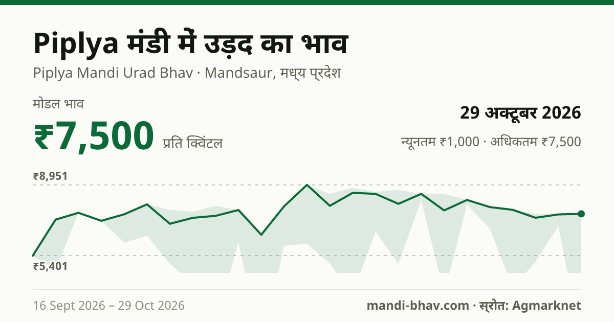 Piplya मंडी में उड़द का भाव 29 अक्टूबर 2026: मोडल ₹7,500 प्रति क्विंटल, भाव के रुझान का चार्ट