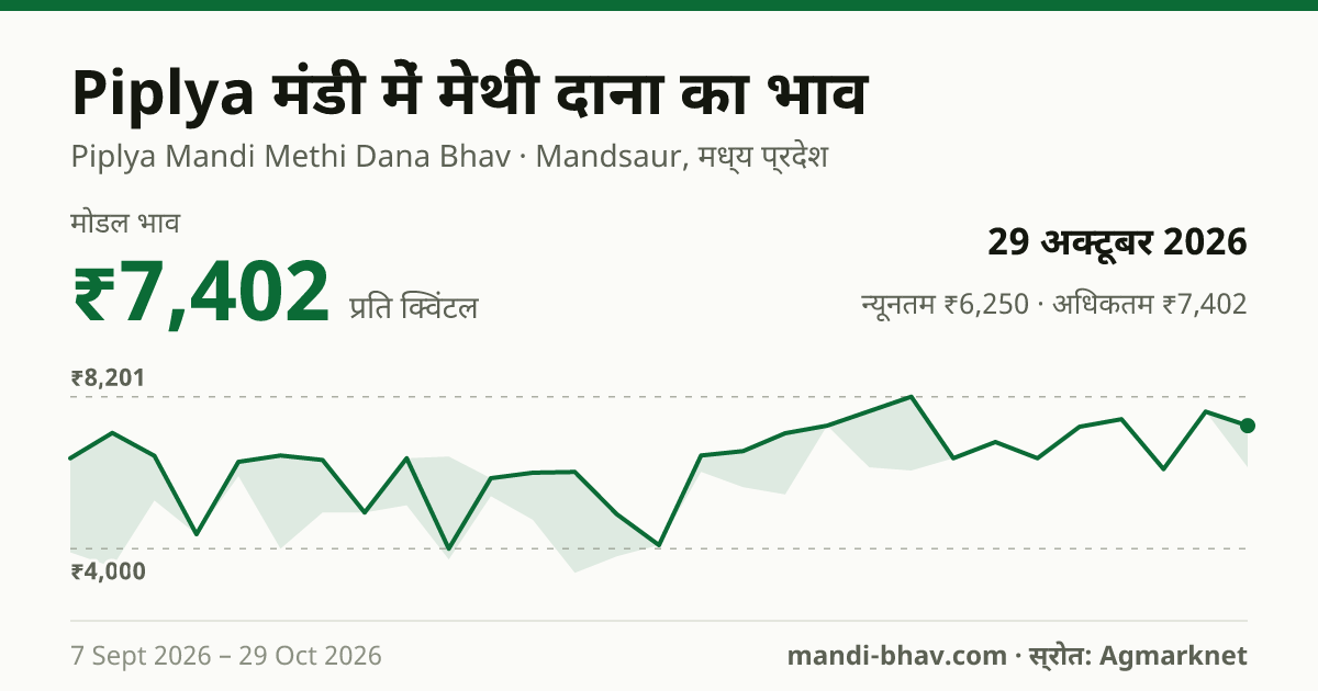 Piplya मंडी में मेथी दाना का भाव 29 अक्टूबर 2026: मोडल ₹7,402 प्रति क्विंटल, भाव के रुझान का चार्ट