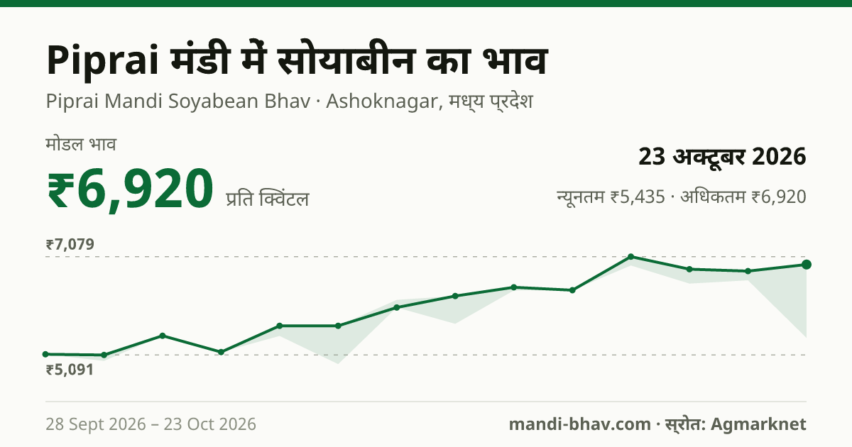 Piprai मंडी में सोयाबीन का भाव 23 अक्टूबर 2026: मोडल ₹6,920 प्रति क्विंटल, भाव के रुझान का चार्ट