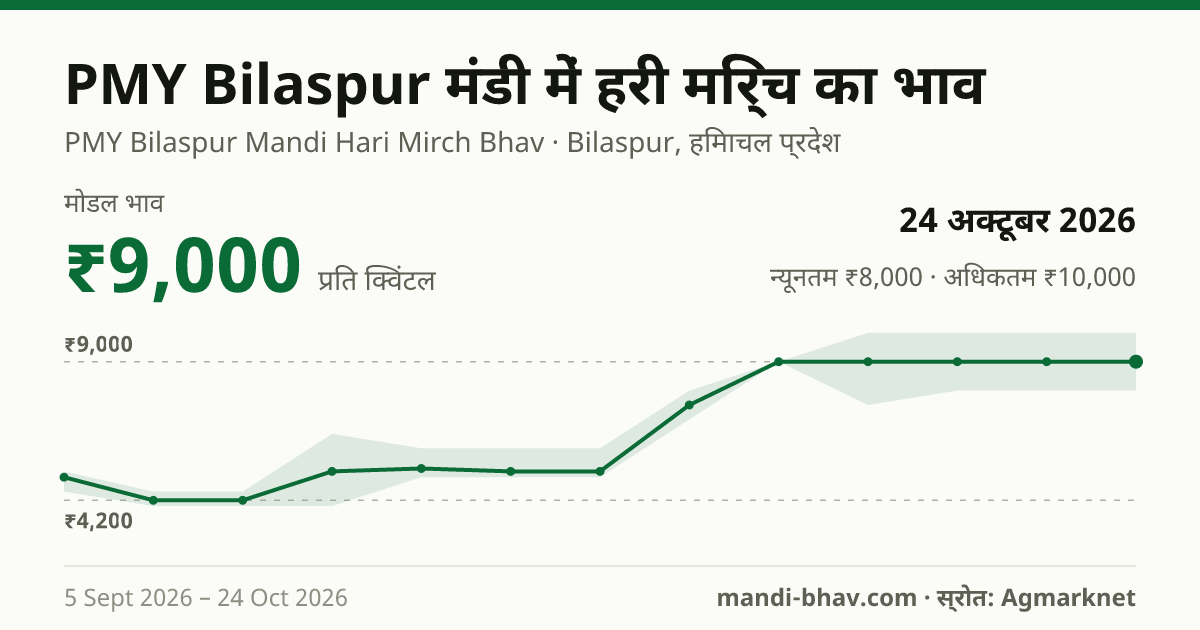 PMY Bilaspur मंडी में हरी मिर्च का भाव 24 अक्टूबर 2026: मोडल ₹9,000 प्रति क्विंटल, भाव के रुझान का चार्ट
