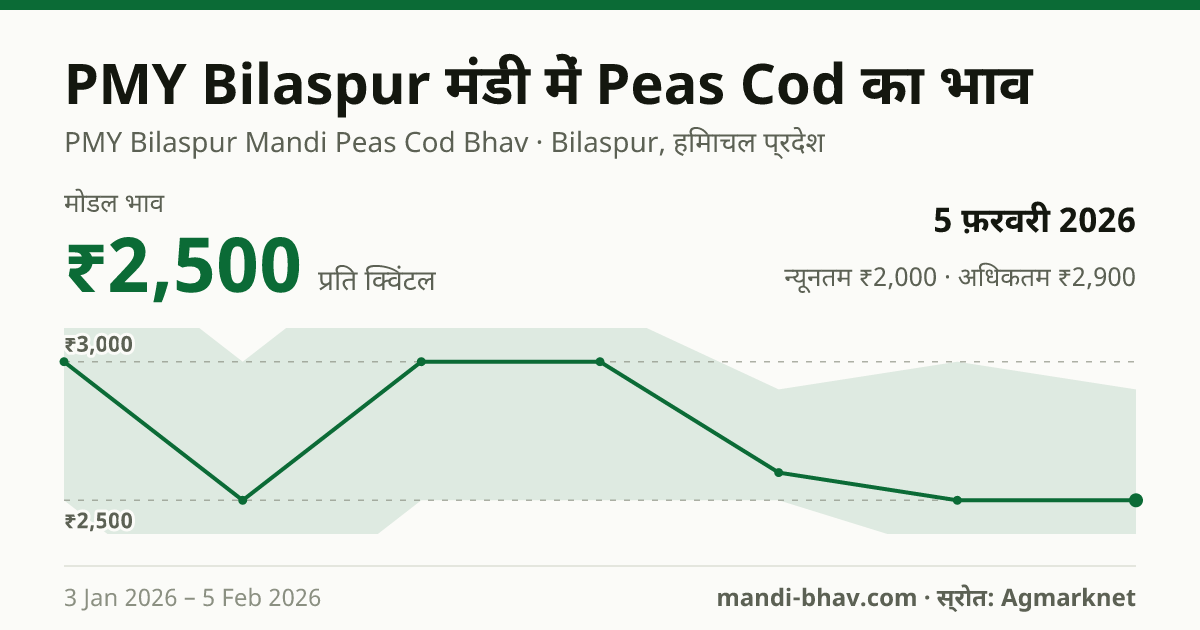PMY Bilaspur मंडी में Peas Cod का भाव 5 फ़रवरी 2026: मोडल ₹2,500 प्रति क्विंटल, भाव के रुझान का चार्ट