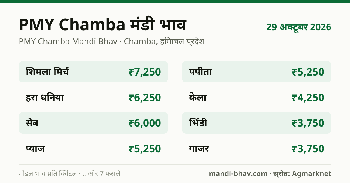 PMY Chamba मंडी भाव 29 अक्टूबर 2026: फसलवार मोडल रेट प्रति क्विंटल