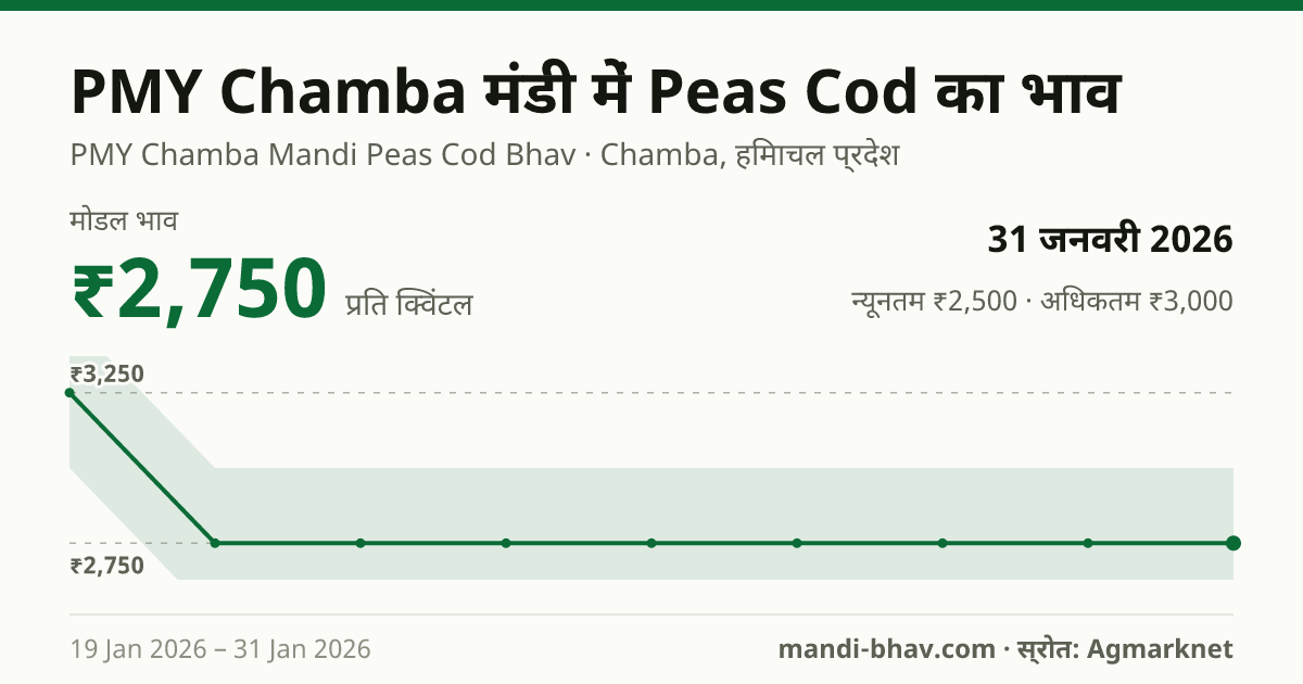 PMY Chamba मंडी में Peas Cod का भाव 31 जनवरी 2026: मोडल ₹2,750 प्रति क्विंटल, भाव के रुझान का चार्ट