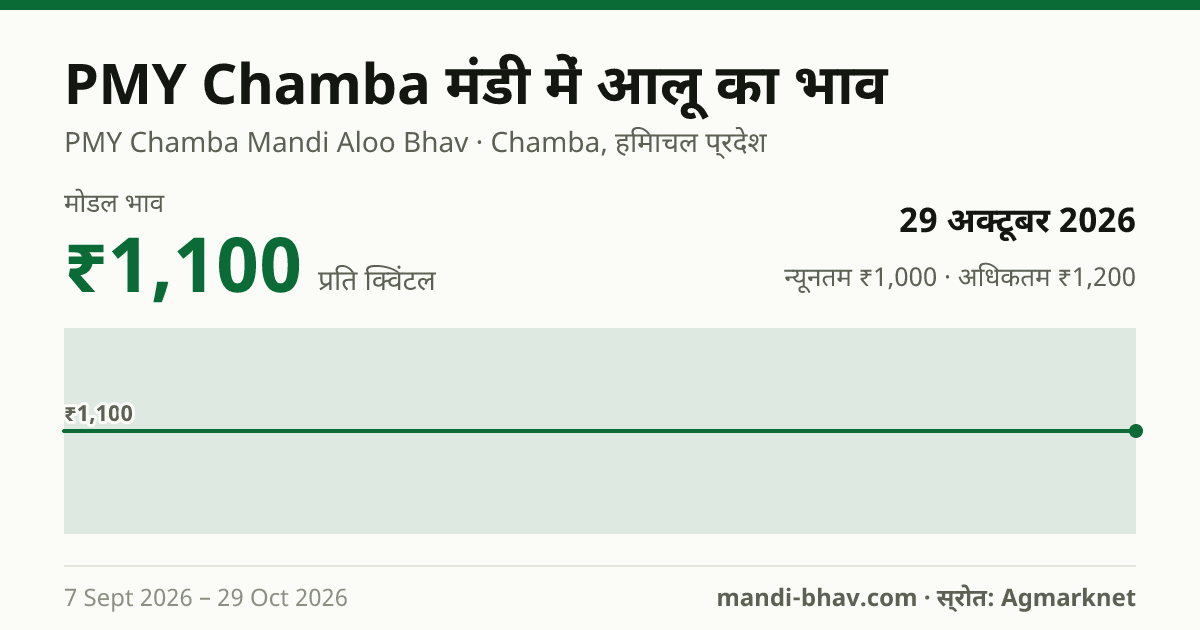 PMY Chamba मंडी में आलू का भाव 29 अक्टूबर 2026: मोडल ₹1,100 प्रति क्विंटल, भाव के रुझान का चार्ट