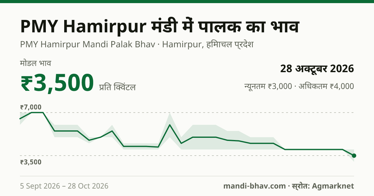 PMY Hamirpur मंडी में पालक का भाव 28 अक्टूबर 2026: मोडल ₹3,500 प्रति क्विंटल, भाव के रुझान का चार्ट