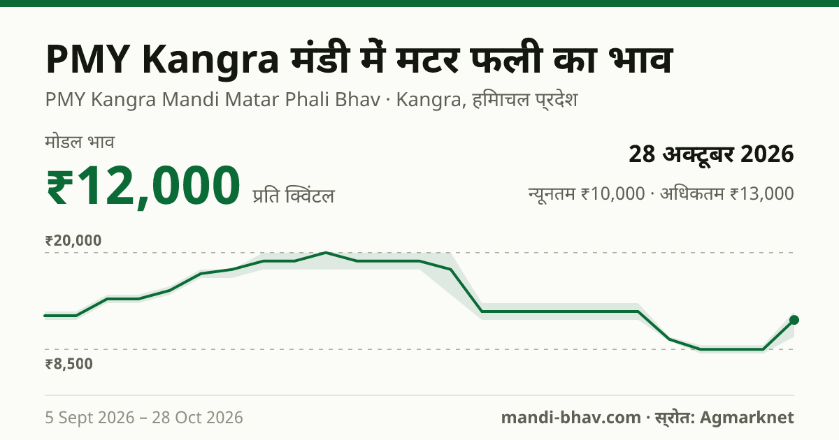 PMY Kangra मंडी में मटर फली का भाव 28 अक्टूबर 2026: मोडल ₹12,000 प्रति क्विंटल, भाव के रुझान का चार्ट