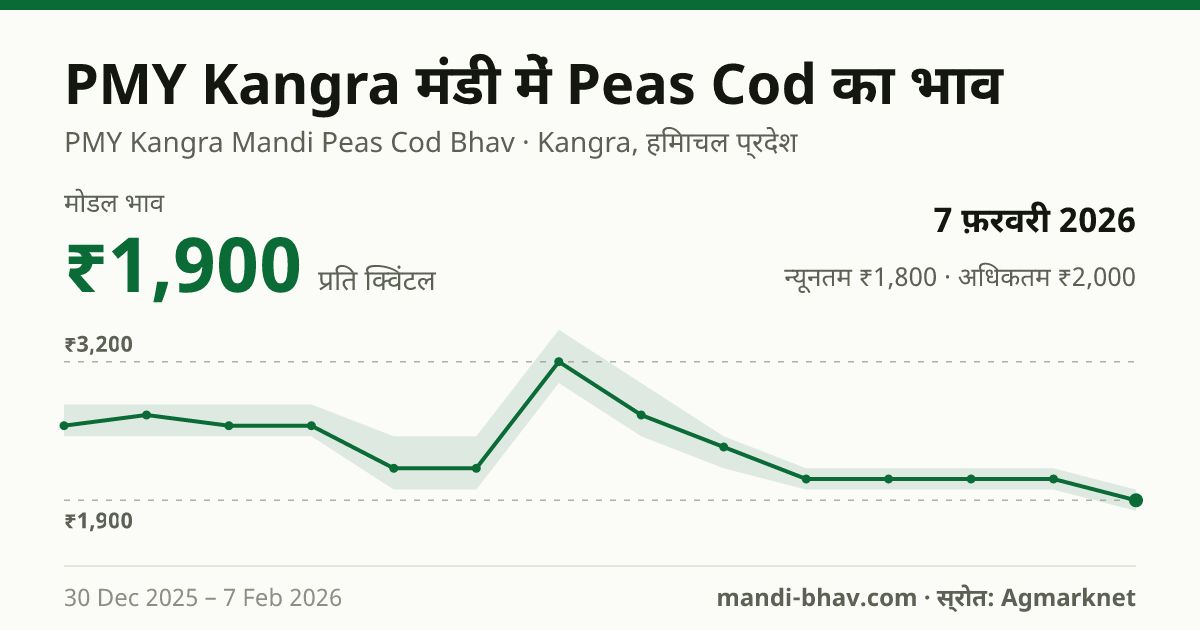 PMY Kangra मंडी में Peas Cod का भाव 7 फ़रवरी 2026: मोडल ₹1,900 प्रति क्विंटल, भाव के रुझान का चार्ट