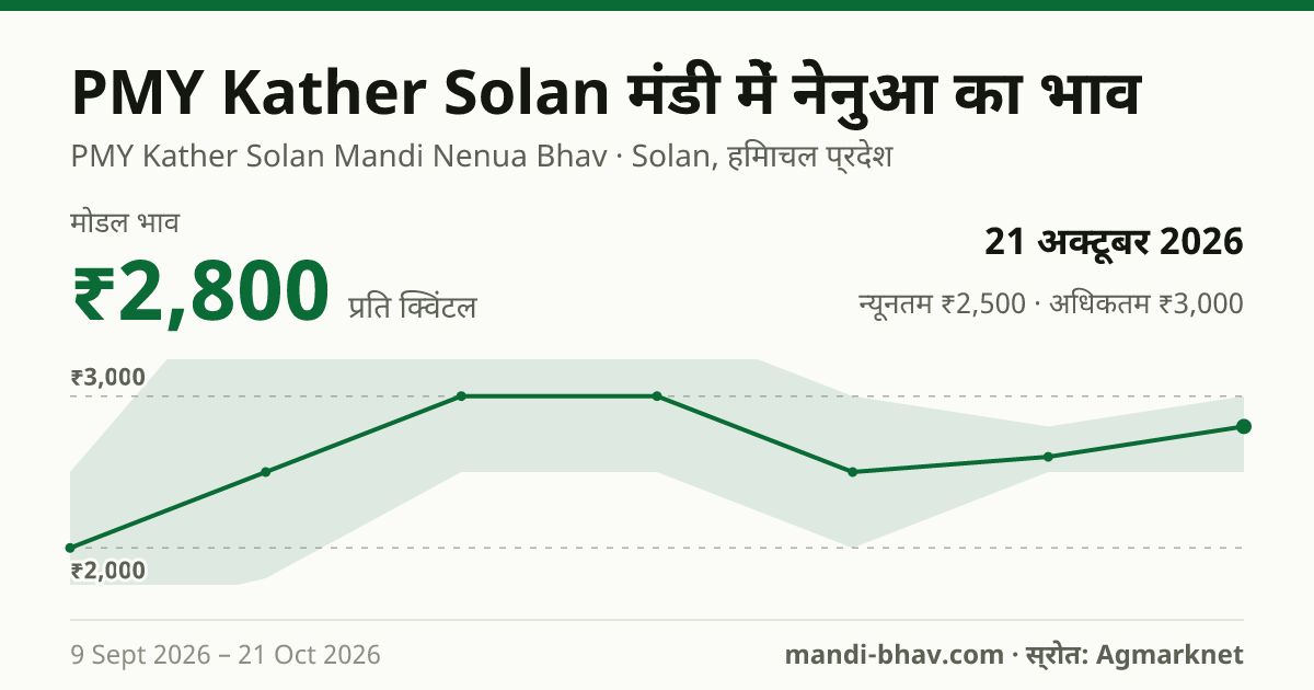 PMY Kather Solan मंडी में नेनुआ का भाव 21 अक्टूबर 2026: मोडल ₹2,800 प्रति क्विंटल, भाव के रुझान का चार्ट