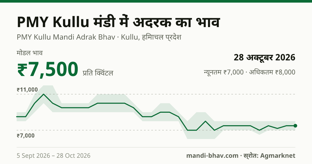 PMY Kullu मंडी में अदरक का भाव 28 अक्टूबर 2026: मोडल ₹7,500 प्रति क्विंटल, भाव के रुझान का चार्ट