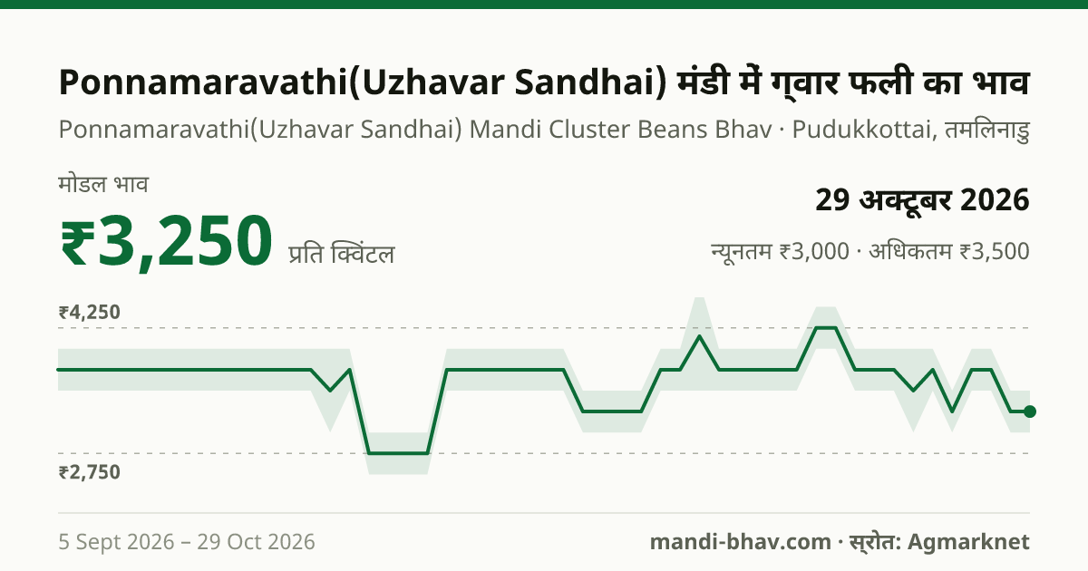Ponnamaravathi(Uzhavar Sandhai) मंडी में ग्वार फली का भाव 29 अक्टूबर 2026: मोडल ₹3,250 प्रति क्विंटल, भाव के रुझान का चार्ट