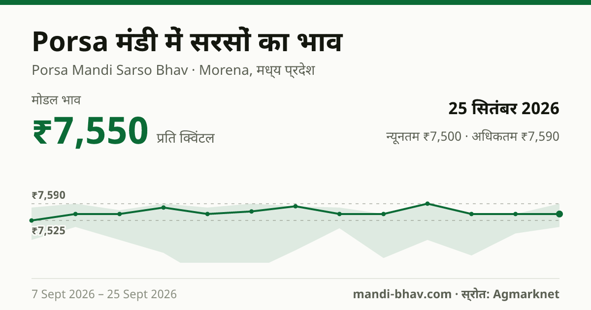 Porsa मंडी में सरसों का भाव 25 सितंबर 2026: मोडल ₹7,550 प्रति क्विंटल, भाव के रुझान का चार्ट