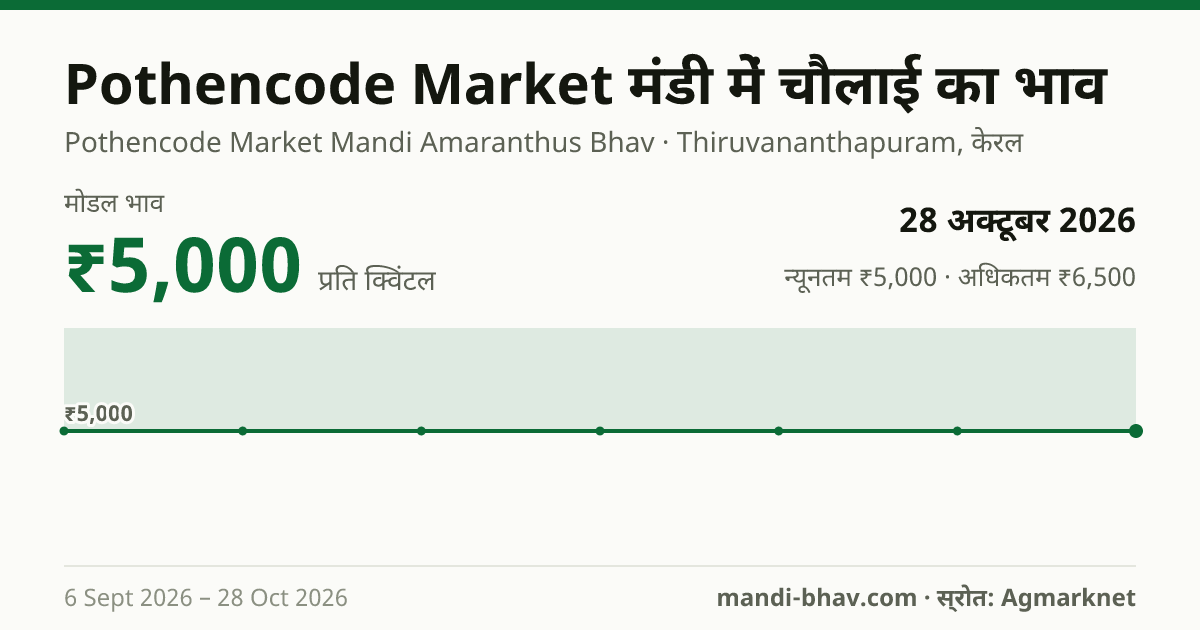 Pothencode Market मंडी में चौलाई का भाव 28 अक्टूबर 2026: मोडल ₹5,000 प्रति क्विंटल, भाव के रुझान का चार्ट