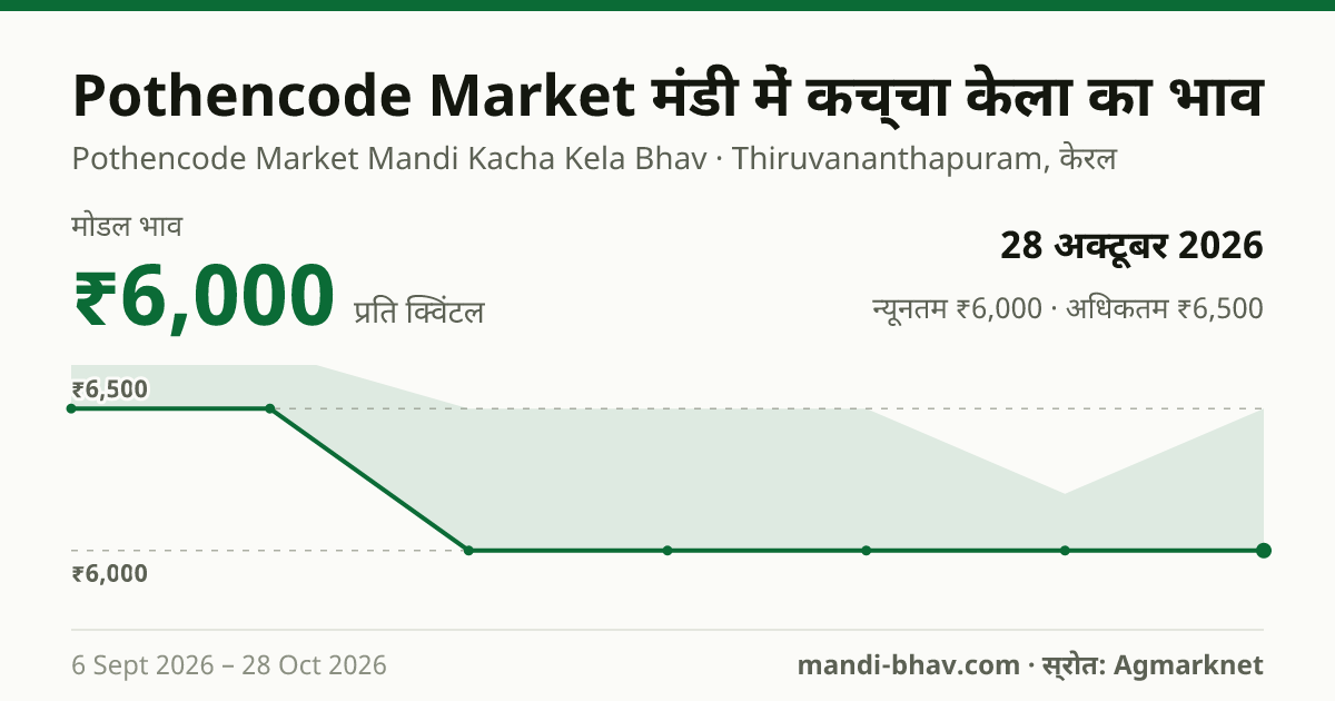 Pothencode Market मंडी में कच्चा केला का भाव 28 अक्टूबर 2026: मोडल ₹6,000 प्रति क्विंटल, भाव के रुझान का चार्ट