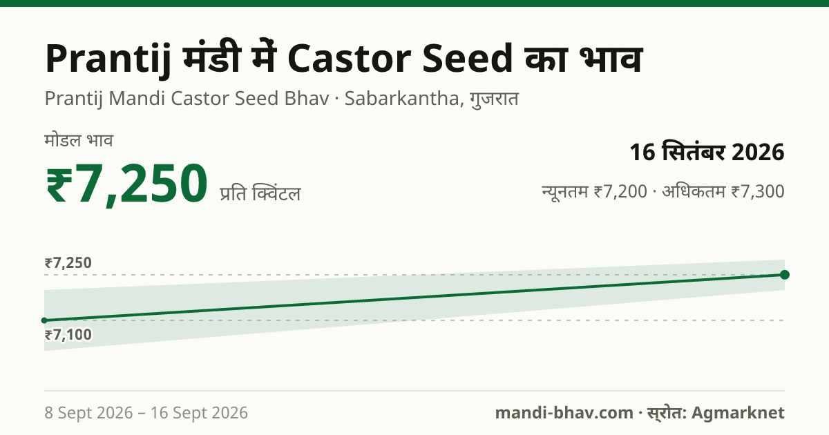 Prantij मंडी में Castor Seed का भाव 16 सितंबर 2026: मोडल ₹7,250 प्रति क्विंटल, भाव के रुझान का चार्ट