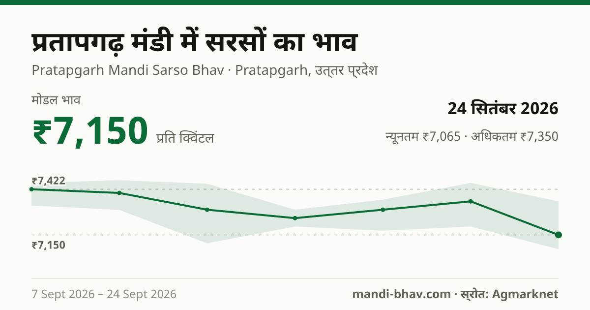 प्रतापगढ़ मंडी में सरसों का भाव 24 सितंबर 2026: मोडल ₹7,150 प्रति क्विंटल, भाव के रुझान का चार्ट