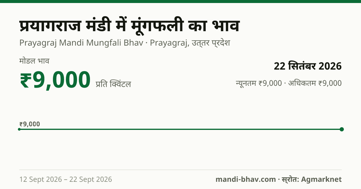 प्रयागराज मंडी में मूंगफली का भाव 22 सितंबर 2026: मोडल ₹9,000 प्रति क्विंटल, भाव के रुझान का चार्ट