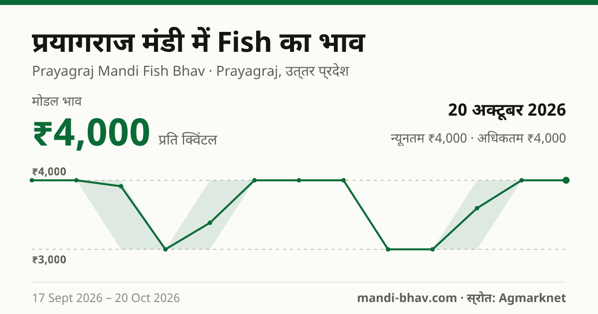 प्रयागराज मंडी में Fish का भाव 20 अक्टूबर 2026: मोडल ₹4,000 प्रति क्विंटल, भाव के रुझान का चार्ट