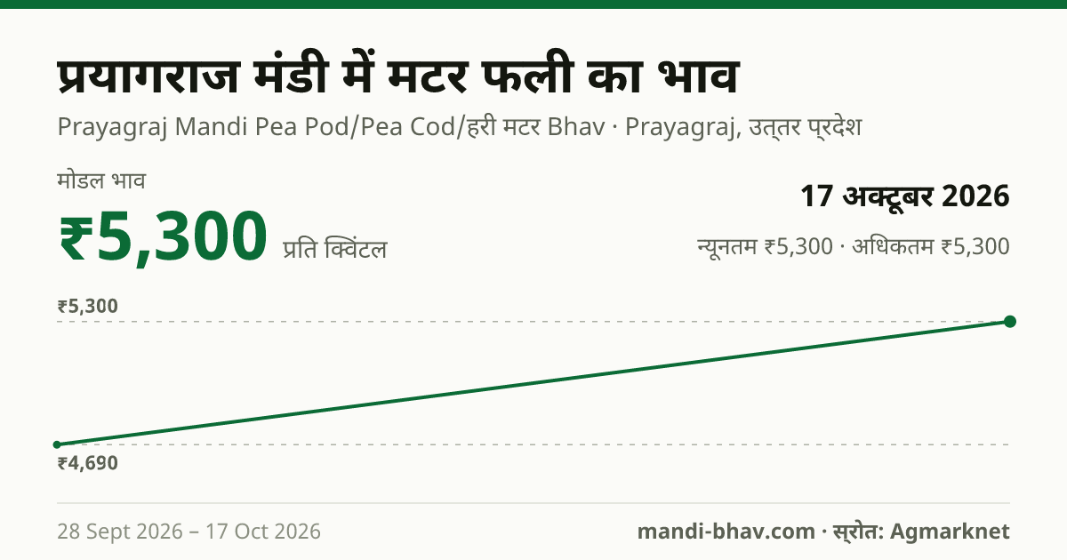 प्रयागराज मंडी में मटर फली का भाव 17 अक्टूबर 2026: मोडल ₹5,300 प्रति क्विंटल, भाव के रुझान का चार्ट