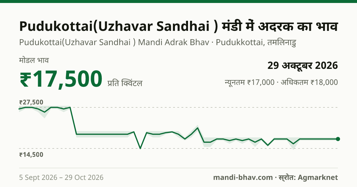 Pudukottai(Uzhavar Sandhai ) मंडी में अदरक का भाव 29 अक्टूबर 2026: मोडल ₹17,500 प्रति क्विंटल, भाव के रुझान का चार्ट