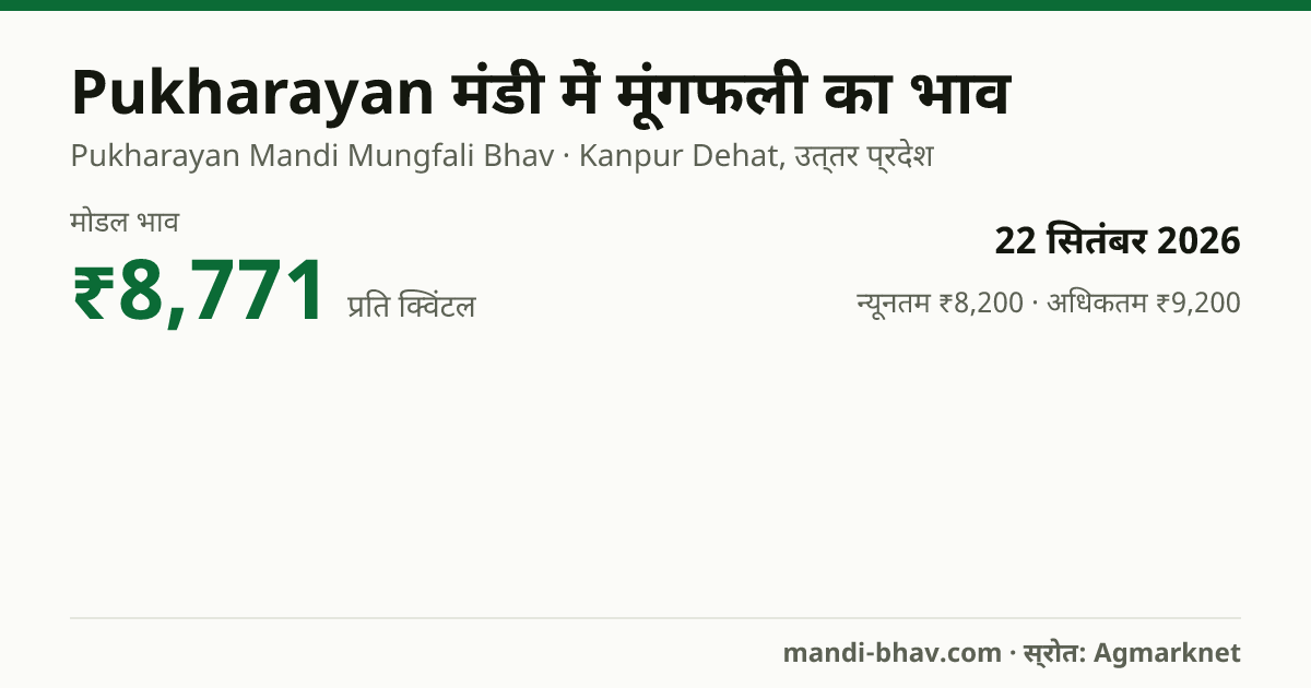 Pukharayan मंडी में मूंगफली का भाव 22 सितंबर 2026: मोडल ₹8,771 प्रति क्विंटल, भाव के रुझान का चार्ट