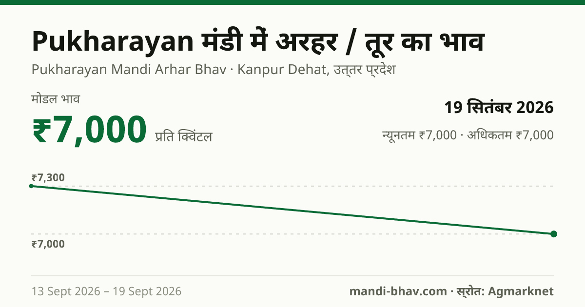 Pukharayan मंडी में अरहर / तूर का भाव 19 सितंबर 2026: मोडल ₹7,000 प्रति क्विंटल, भाव के रुझान का चार्ट