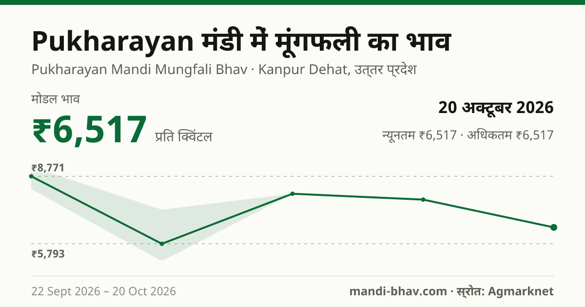 Pukharayan मंडी में मूंगफली का भाव 20 अक्टूबर 2026: मोडल ₹6,517 प्रति क्विंटल, भाव के रुझान का चार्ट