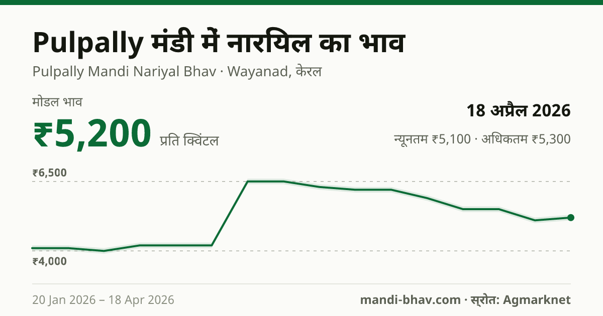Pulpally मंडी में नारियल का भाव 18 अप्रैल 2026: मोडल ₹5,200 प्रति क्विंटल, भाव के रुझान का चार्ट