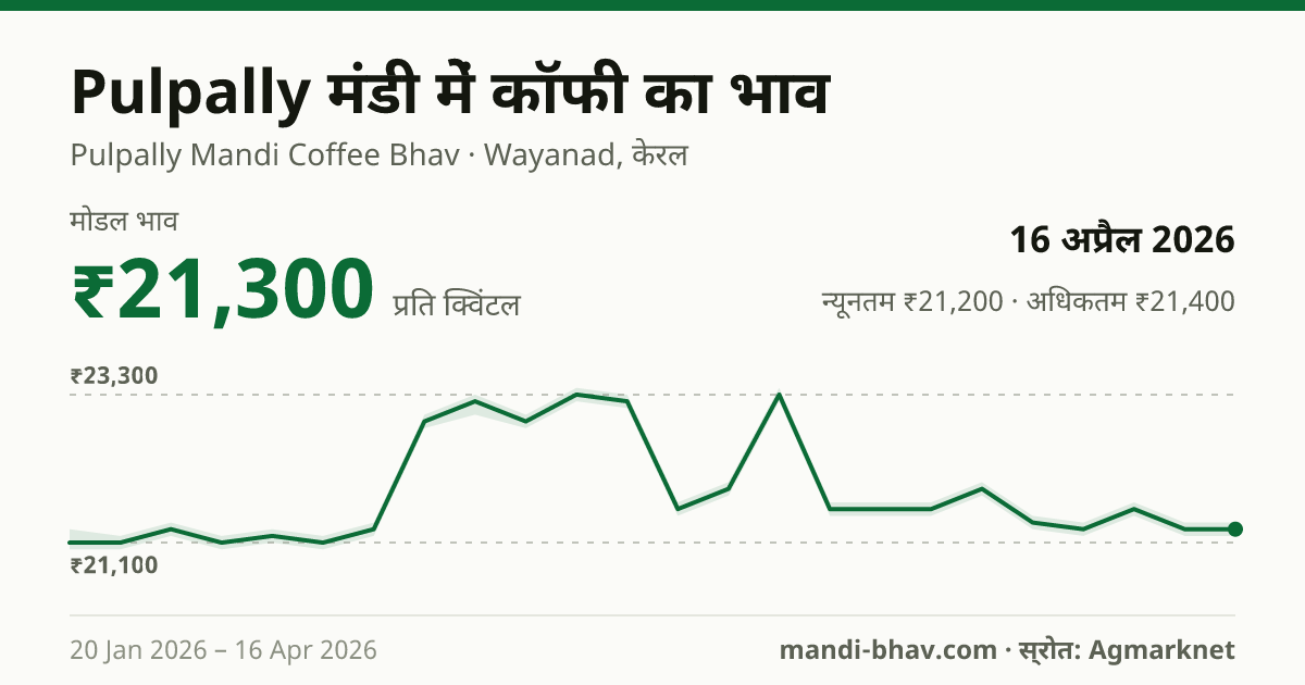 Pulpally मंडी में Coffee का भाव 16 अप्रैल 2026: मोडल ₹21,300 प्रति क्विंटल, भाव के रुझान का चार्ट
